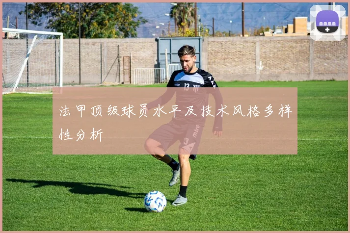 法甲顶级球员水平及技术风格多样性分析