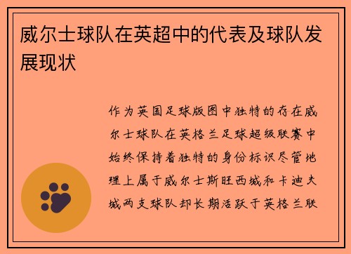 威尔士球队在英超中的代表及球队发展现状